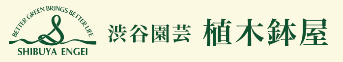 渋谷園芸　植木鉢屋