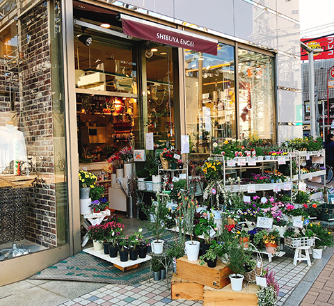 ひばりが丘 パルコ店 渋谷園芸 東京 神奈川のガーデニング 大型園芸店 練馬本店