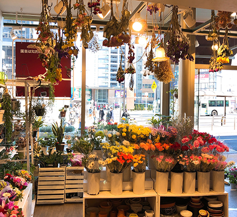 ひばりが丘 パルコ店 渋谷園芸 東京 神奈川のガーデニング 大型園芸店 練馬本店