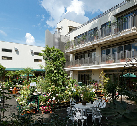 練馬本店画像