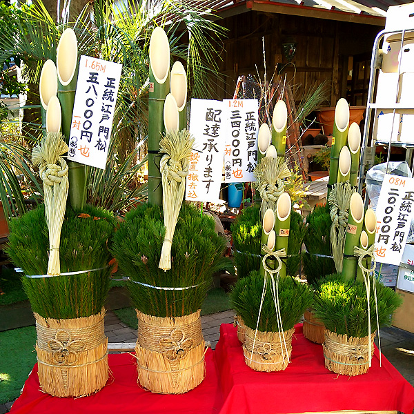 渋谷園芸 東京 神奈川のガーデニング 大型園芸店 練馬本店